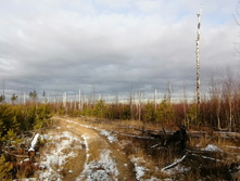 IMG 20201115 120601.jpg