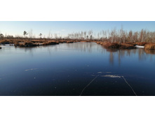 IMG 20201118 122421.jpg