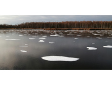 IMG 20201121 133511.jpg