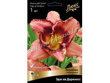 2020 ��� �� �������� * �������� ���������