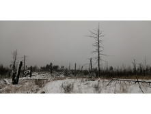 IMG 20201129 101357.jpg