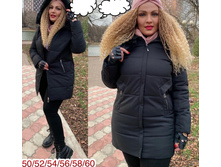 2190� 50,52,54,56,58,60.jpg