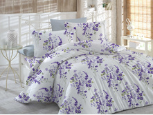 �������� ���