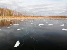 IMG 20201121 133746.jpg