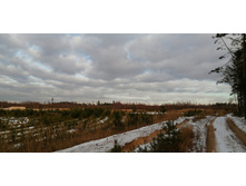 IMG 20201115 125847.jpg