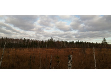 IMG 20201115 134108.jpg