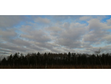 IMG 20201115 134650.jpg