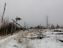 IMG 20201129 101313.jpg