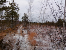 IMG 20201114 095255.jpg