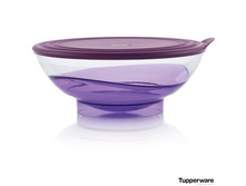 ���� «������������» (1,5 �) 1509 ���