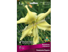 2020 ������� ����� �������� ���������