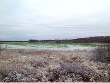 20201114 � ������� 1432.jpg