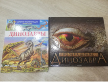 IMG 20201120 154747.jpg