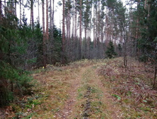 IMG 20201101 111412.jpg