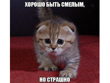 ������ ���� ������ ... �� ������� ...