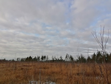 IMG 20201115 134555.jpg