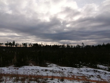 IMG 20201115 110158.jpg