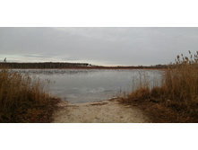 IMG 20201122 121333.jpg