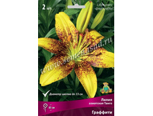 2020 �������� ����� ��������� �����