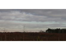 IMG 20201115 124727.jpg