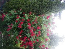 IMG 20200629 204020.jpg