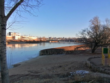 IMG 20201118 141131.jpg