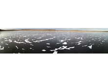 IMG 20201121 125510.jpg