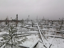 IMG 20201129 104132.jpg