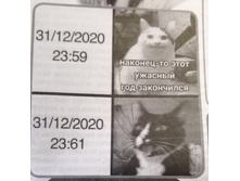 IMG 20201105 141327.jpg