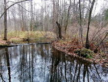 IMG 20201101 100146.jpg