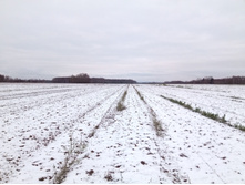 20201114 � ������� 1408.jpg