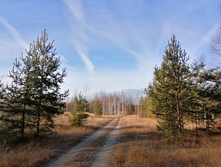 IMG 20201121 112039.jpg