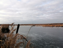 IMG 20201121 124716.jpg