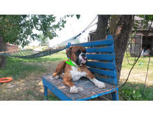 5de408155b559 20160716150025.jpg