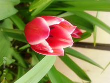IMG 20200511 111444.jpg