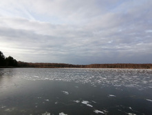 IMG 20201121 125414.jpg