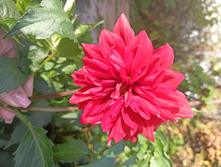 IMG 20200926 142832.jpg
