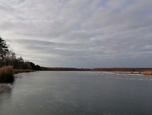 IMG 20201121 124819.jpg