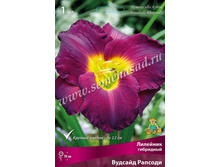 2020 ������� ������� �������� ���������