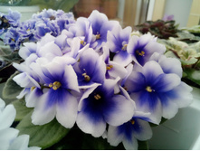 ��-������ ��������.jpg