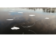 IMG 20201121 131633.jpg