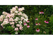 IMG 20190712 082131.jpg