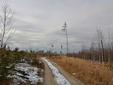 IMG 20201115 113902.jpg