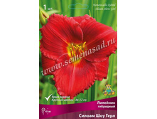 2020 ������ ��� ���� �������� ���������