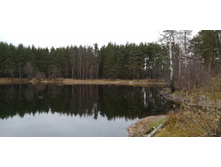 IMG 20201101 122839.jpg