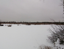 IMG 20201129 091344.jpg