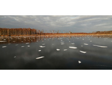 IMG 20201121 133441.jpg