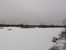 IMG 20201129 092824.jpg