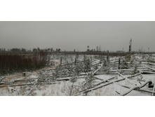 IMG 20201129 104243.jpg