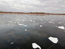 IMG 20201121 131053.jpg